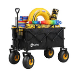 Beach wagon rental with sand wheels on 30A”