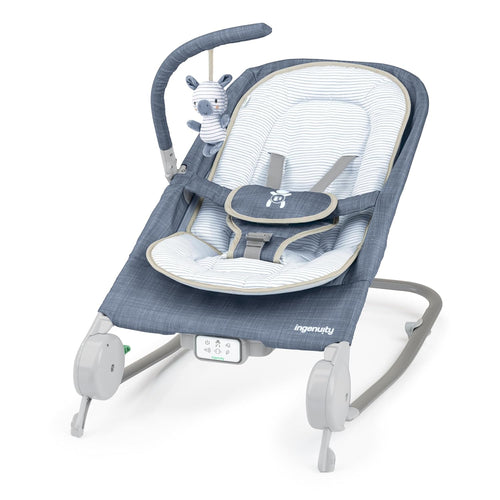 Bouncy Seat and Rocker