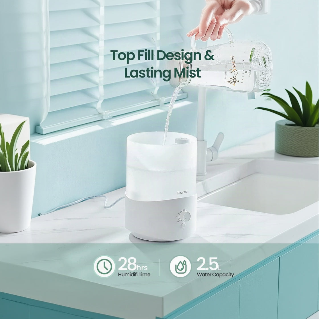 Humidifier