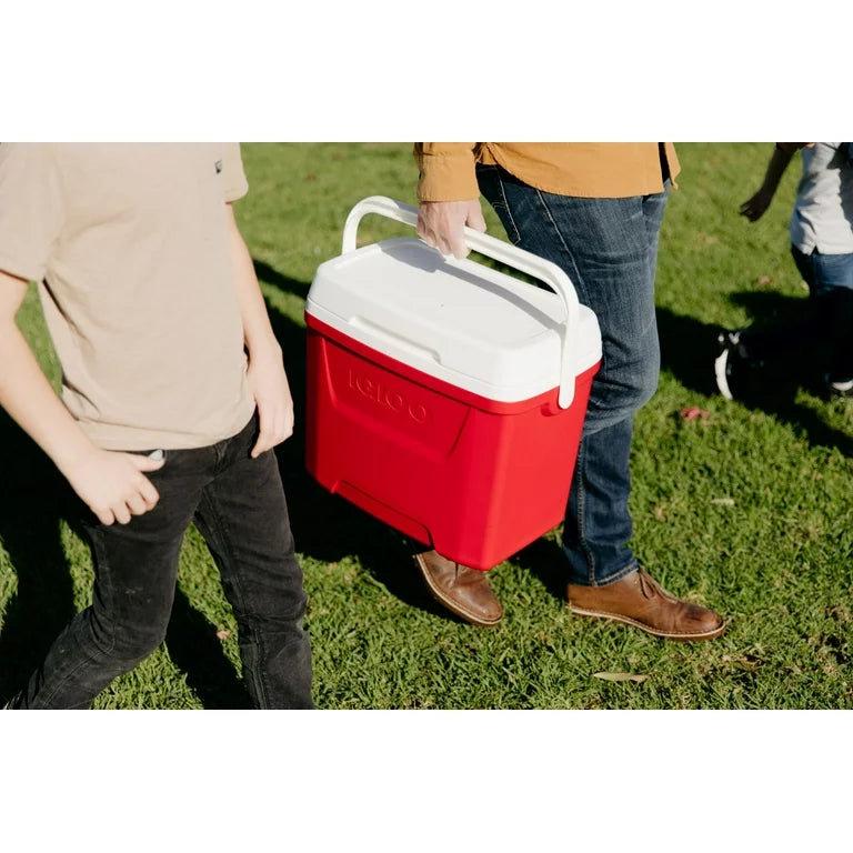 Cooler - Medium Size