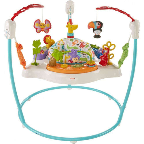 Jumperoo by Fisher Price